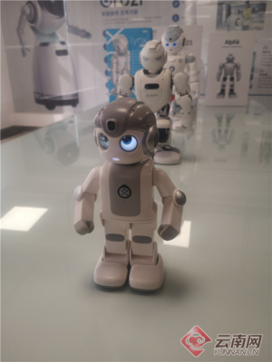 昆明智能機器人產業園年內破土動工，云計算裝備技術服務引領產業升級